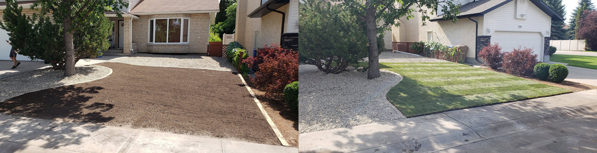 Landscaping Services - Before and After