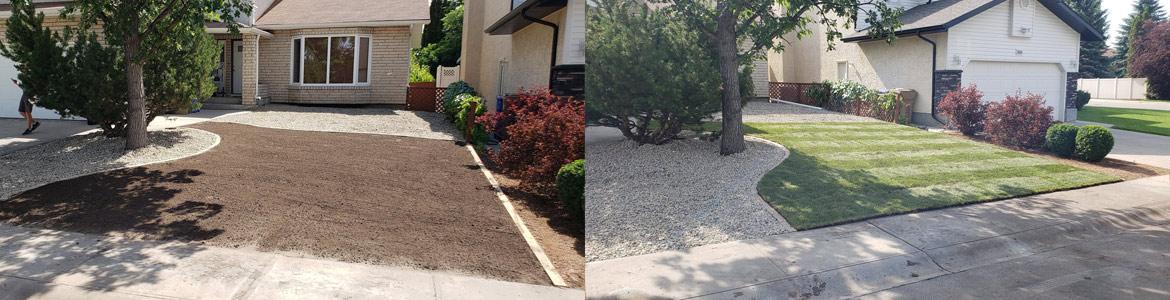 picture title Landscaping Services - Before and After