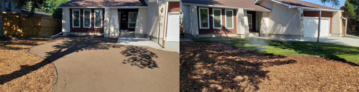 Landscaping Services - Before and After